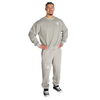 BETTER BODIES TEAM CREWNECK (Washed Frost grey)