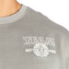 BETTER BODIES TEAM CREWNECK (Washed Frost grey)